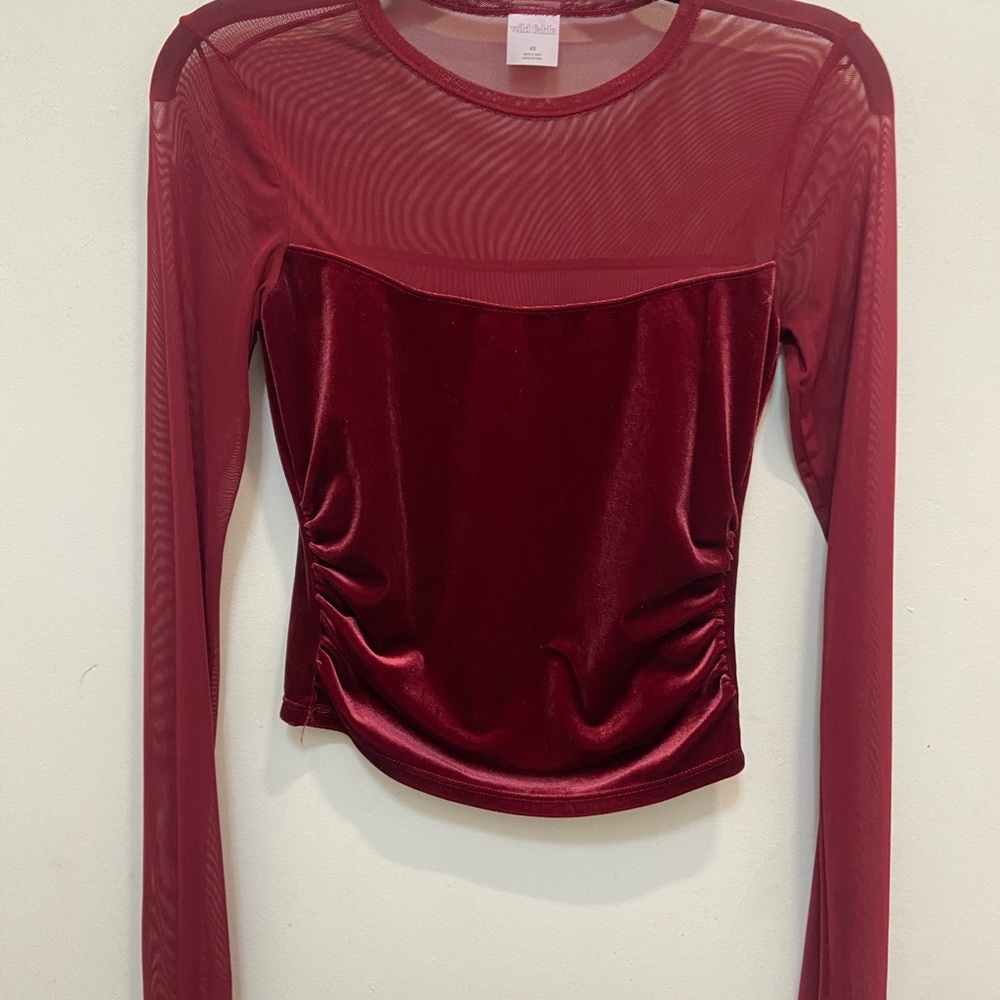 Wild Fable Burgundy Velvet Mesh Top